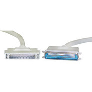 SCSI Cable