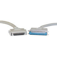 SCSI II Cable