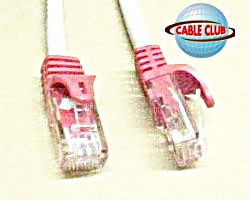 Cat5