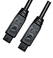 Firewire 10 ft