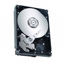 60GB IDE ATA100 7200RPM 3.5in x 1in 40p 100MB/s H