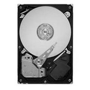 30GB IDE ATA133 7200RPM 3.5in x 1in 40p 133MB/s H