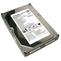 60GB IDE ATA100 7200RPM 3.5in x 1in 40p 100MB/s H