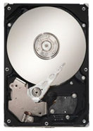 750GB IDE ATA100 7200RPM 3.5in x 1in 40p 100MB/s 