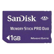 1GB Memory Stick Pro Duo 66x to 100x W/ Adapter C