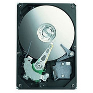 30GB IDE ATA100 7200RPM 3.5in x 1in 40p 100MB/s H