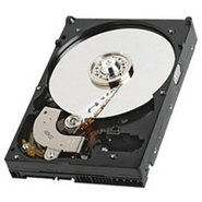 250GB IDE ATA100 7200RPM 3.5in x 1in 40p 100MB/s 