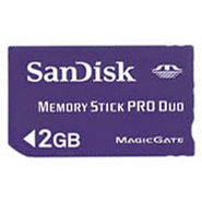 2GB Memory Stick Pro Duo, BZF