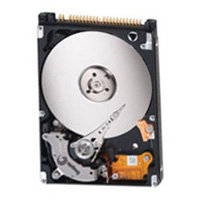 100GB IDE ATA100 4200RPM 2.5in x 9.5mm 44p 100MB/
