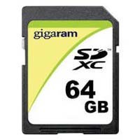 64GB 9p SDXC Class 4 Secure Digital Extended Capa