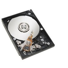 20GB IDE ATA100 7200RPM 3.5in x 1in 40p 100MB/s H