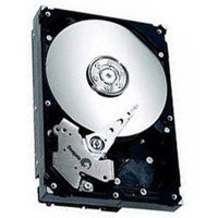 40GB IDE ATA100 5400RPM 3.5in x 1in 40p 100MB/s H