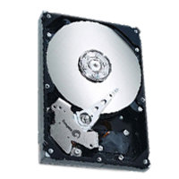 250GB IDE ATA133 5400RPM 3.5in x 1in 40p 133MB/s 