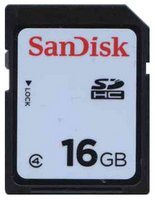 16GB 9p SDHC Secure Digital Class 4 with White La