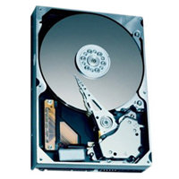 120GB IDE ATA133 5400RPM 3.5in x 1in 40p 133MB/s 