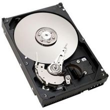 30GB IDE ATA100 5400RPM 3.5in x 1in 40p 100MB/s H