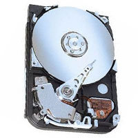 20GB IDE ATA100 5400RPM 3.5in x 1in 40p 100MB/s H