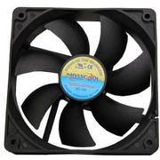 Dual Ball Case Fan