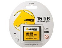 16 GB Compact Flash Card 633X