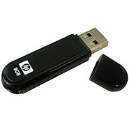 8GB USB 2.0 Flash Drive