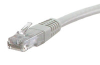 50 ft Cat6A 10G Network