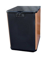 Premier Acoustic PA-10 Subwoofer
