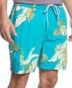 Swimwear, Sarasota Siesta Swim Trunk