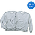 - Big Men's Fleece Crew Sweatshirt, 2 Pack
