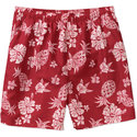 Men's Pull-On Pinneapple Printed Swim Shorts