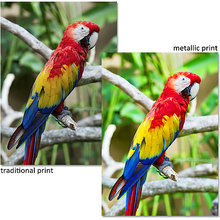 8x10 Metallic Prints