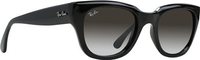 Ray-Ban 4178 Sunglasses