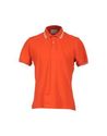 Polo shirts - Item 37433735