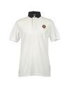 Polo shirts - Item 37413370