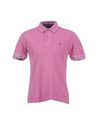Polo shirts - Item 37413343