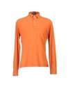 Polo shirts - Item 37431519