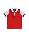 Polo shirts - Item 37460561