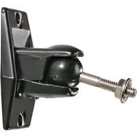 Stainless Steel Series 10.0 Black Speaker Mount - 