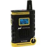 Handheld AM/FM/Weather Band Radio 810805