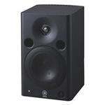 Bi-amplified Monitor Speaker