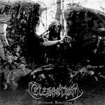 Celebratum - Mirrored Revelation