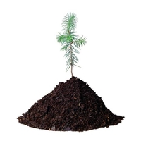 Dell Dell Plant a Tree for Me - Offset a Laptop (0