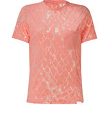 Coral Devor? Top
