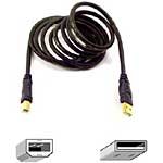Belkin Gold Series USB 2.0 Cable A to B, 6ft F3U13