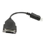 7  DisplayPort (M) to DVI-D (F) Adapter, Black 900