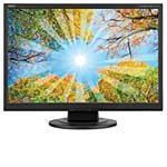 NEC 19  AS191WM-BK Digital/Analog