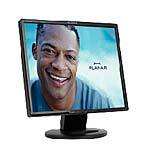 Planar 19  PL1900 LCD Monitor Black 997-3095-00