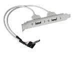 2-Port USB Bracket CB-BR0311-S1